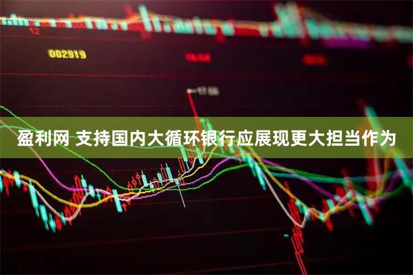 盈利网 支持国内大循环银行应展现更大担当作为