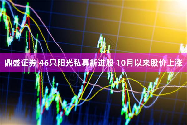 鼎盛证券 46只阳光私募新进股 10月以来股价上涨