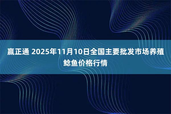 赢正通 2025年11月10日全国主要批发市场养殖鲶鱼价格行情