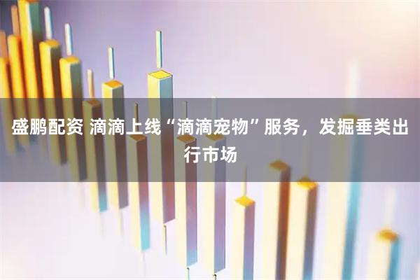 盛鹏配资 滴滴上线“滴滴宠物”服务，发掘垂类出行市场