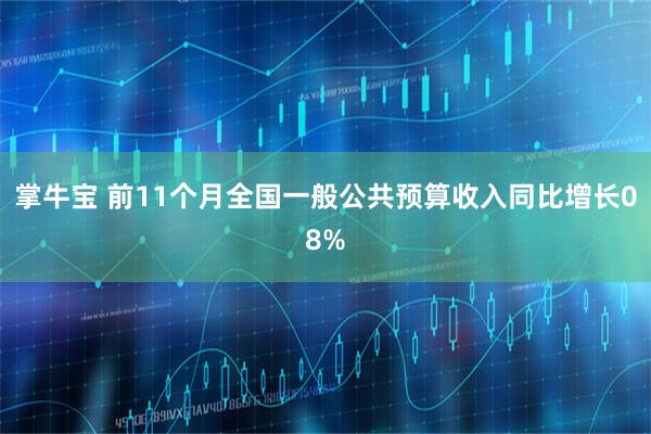 掌牛宝 前11个月全国一般公共预算收入同比增长08%